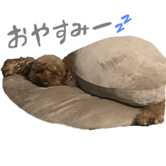 mmn_20250104011430