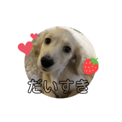 yukky_20250103224640