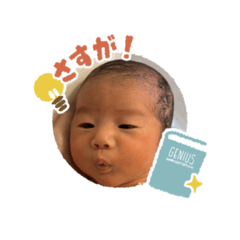SHIN_20250104122428