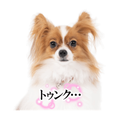 Hitomi_20250104152706