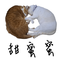 Pets of Sunny