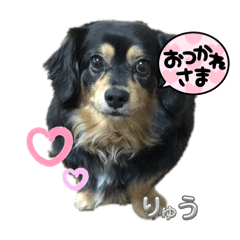 kayo_20250104181952