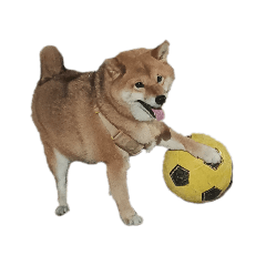 ㄧㄧˉ
