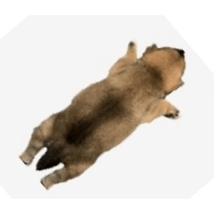 Mooneyiii
