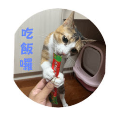 小呆花