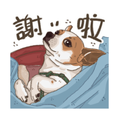 黑！這茶好派！