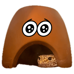 Mimi_2025