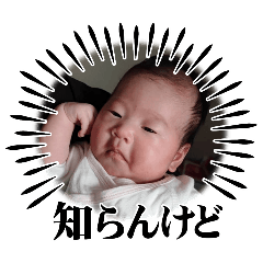 mah_20250104194945