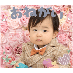 ayame_20250104225524