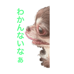 Genkaida_20250104160458