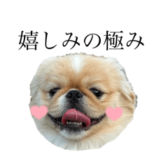 miki_20250104213044