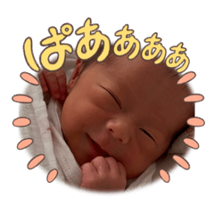 MISA_20250104181526