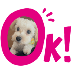 Momoko_20250104231802