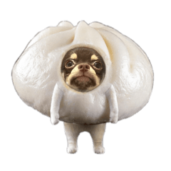 choco_20250105003209