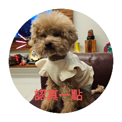 生活要努力
