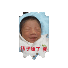 寶貝鼎泰