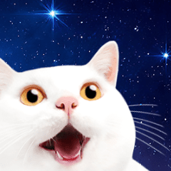 Animation! Surprise! space cat