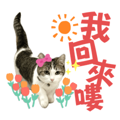 妹妹短腿也能練YOGA_第一彈