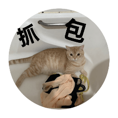 嘻蛤