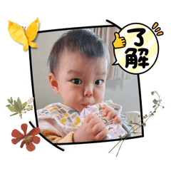 mai_20250104231611