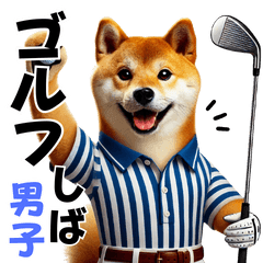 Golf Shiba Inu Boy