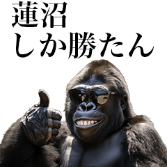 [Hasunuma] Funny Gorilla stamp to send