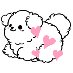 Fluffy Funny Cute Dog