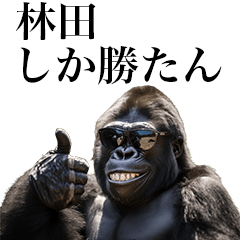 [Hayashida] Funny Gorilla stamp to send