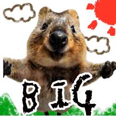 BIG stickers_Happy Quokka