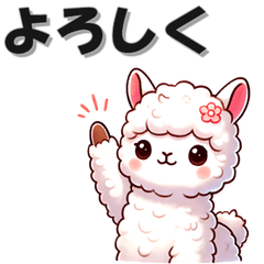 Everyday alpaca 2