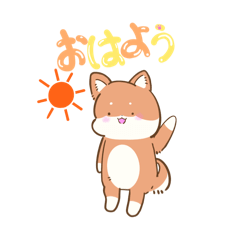 SHIBAandNEKO