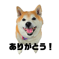 ayyyn_20250104220838