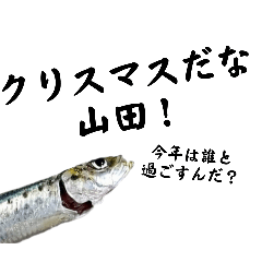 Fish and fish's_20250105122153