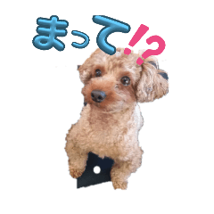 HIKARI_20250105115707