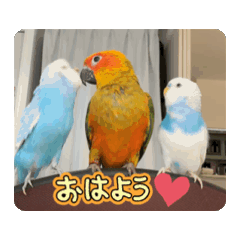 hiro_20250106113550