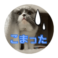 kakuko_20250105120540