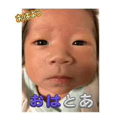 toakun1213