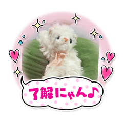 miki_20250103120814