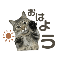 ぴち○文字多め