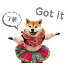 No dance, No life SHIBAINU life