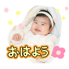 pochi_20250105215408