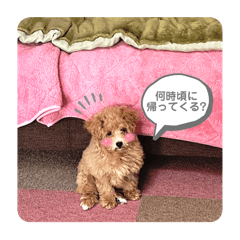 asuka_20250105180915