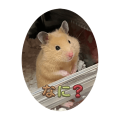 Yuki_20250105195300