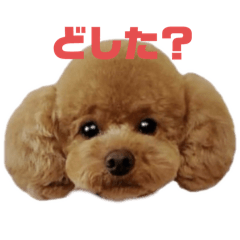 konatsu_20250105205054