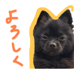 Hana_20250105205824