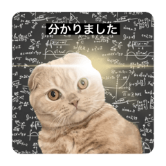 Mitsuki_20250105221040