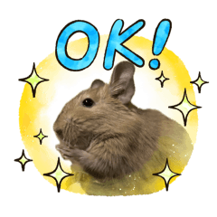 sand_degu