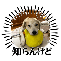 misa_20250105231239