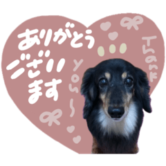 poco_20250105225952