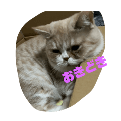 CHIHIRO_20250106213105